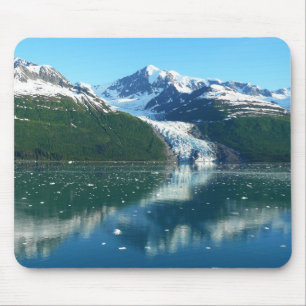 College Fjord I BeVacker Alaska Photography Musmatta
