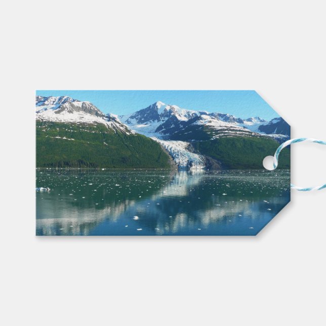 College Fjord I Vacker Alaska-fotografering Presentetikett (Framsidan (Horisontell))