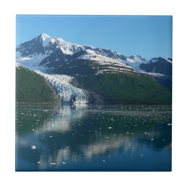 College Fjord II Vacker Alaska-fotografering Kakelplatta (Framsidan)