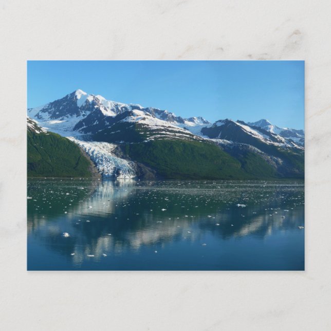 College Fjord II Vacker Alaska Fotografi Vykort (Framsida)