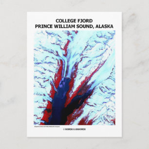 College Fjord Prince William Ljud Alaska Vykort