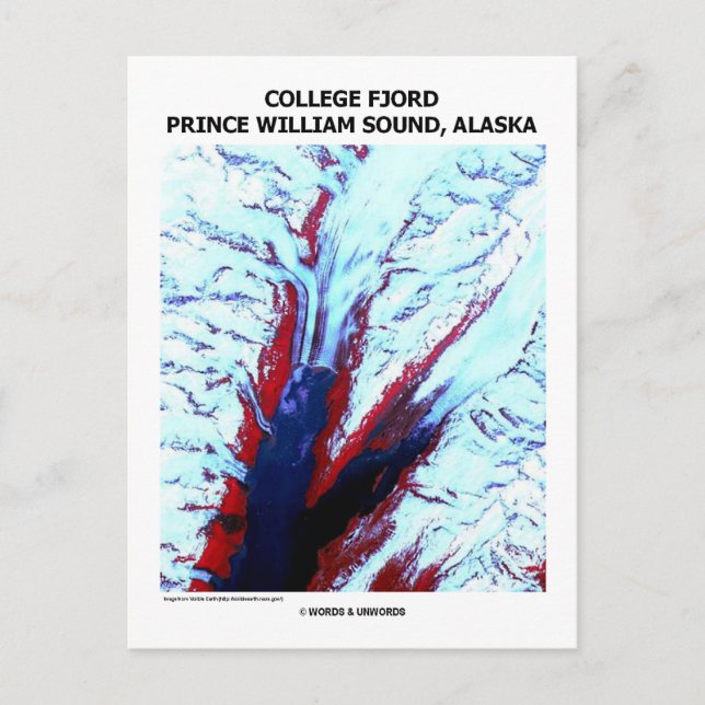 College Fjord Prince William Ljud Alaska Vykort (Framsida)