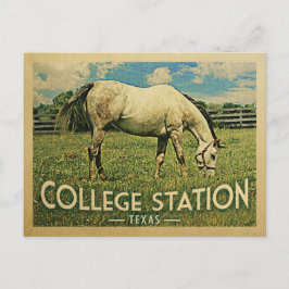 College Station Texas Horse Farm - Vintage resor Vykort