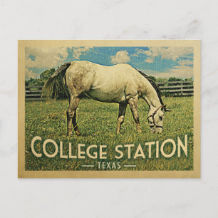 College Station Texas Horse Farm - Vintage resor Vykort