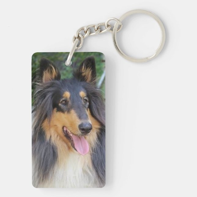 Colley americain. (Baksidan)