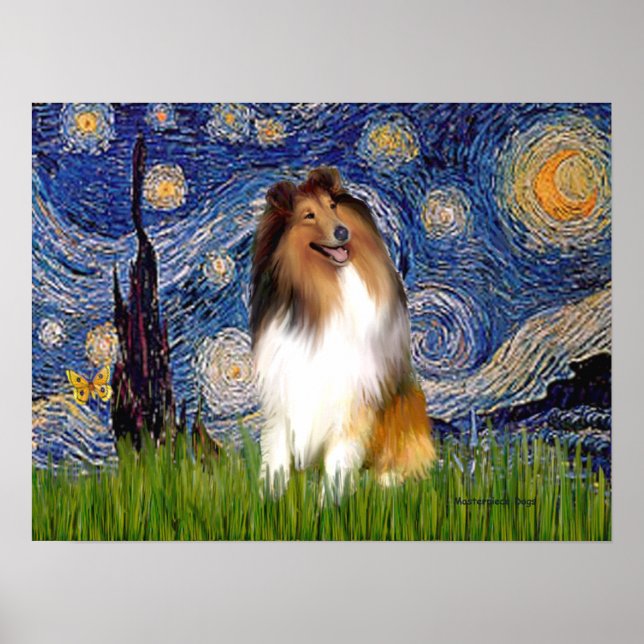 Collie 1 - Stjärnkväll Poster (Framsidan)