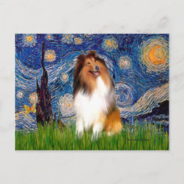Collie 1 - Stjärnkväll Vykort