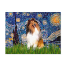 Collie 1 - Stjärnkväll