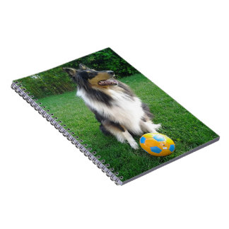 Collie Anteckningsbok