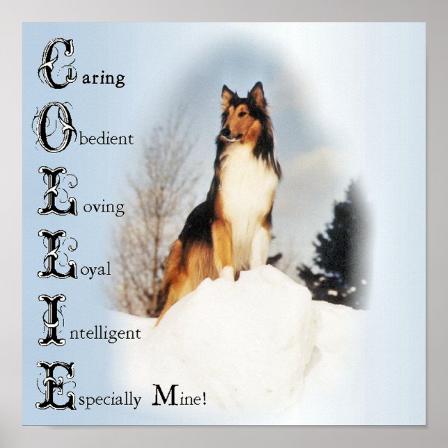 Collie är.. Rough Collie Art Poster (Framsidan)