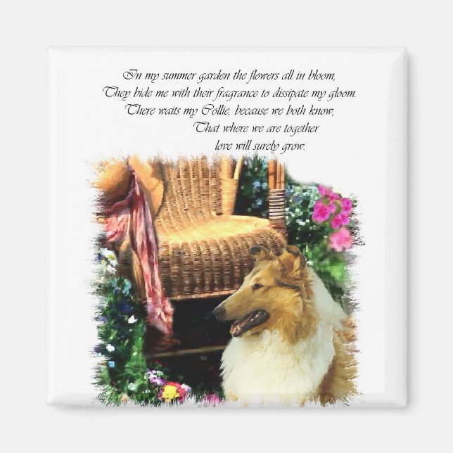 Collie Art Gifts Rough Sable Magnet (Framsidan)