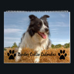 Collie Calendar i Hund älskare Mixed Gräns Kalender<br><div class="desc">En underbar present till hundälskarna där ute. I den här gräns-kollisionskalendern finns det flera bilder i gräns-kollisioner som gör vad de gör bäst... Tittar fantastisk! Sprid lite lycka i hund under hela året och njut varje månad av hårigets erbjudande om roligt av kollie i gräns. Lämna en recension om lycklig...</div>