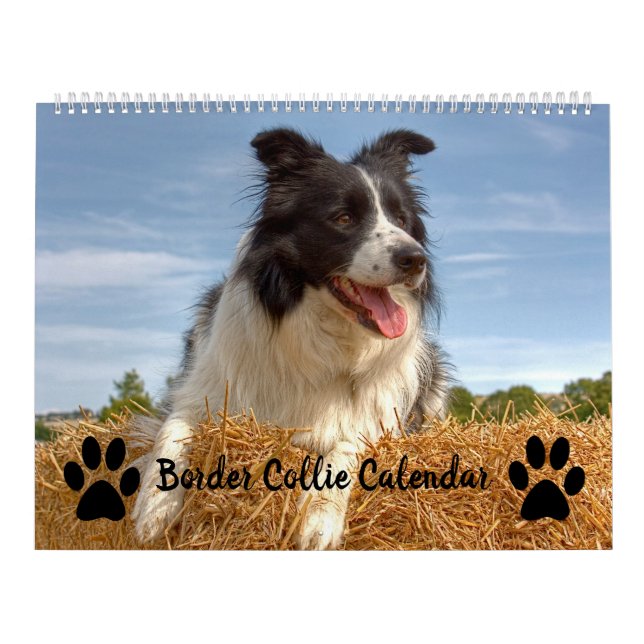 Collie Calendar i Hund älskare Mixed Gräns Kalender (Omslag)