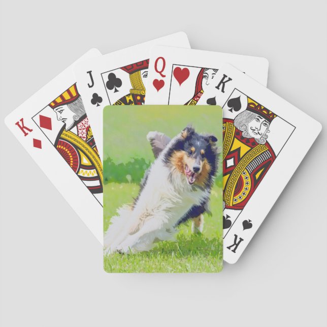 Collie Casinokort (Baksidan)