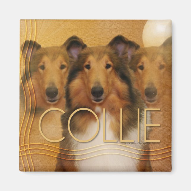 Collie Crescent Måne Magnet (Framsidan)