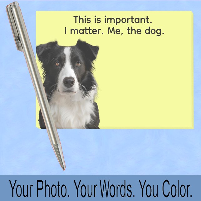 Collie eller ditt hundfoto—Julstrumpa present Cute Post-it Block (Skapare uppladdad)
