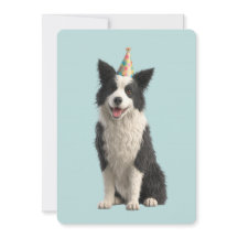 Collie födelsedagsfest