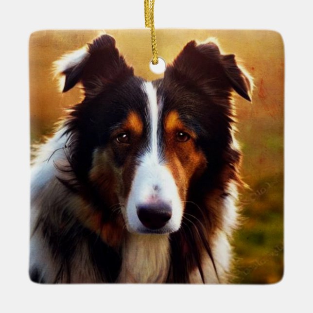 Collie Front View Julgransprydnad Keramik (Framsida)