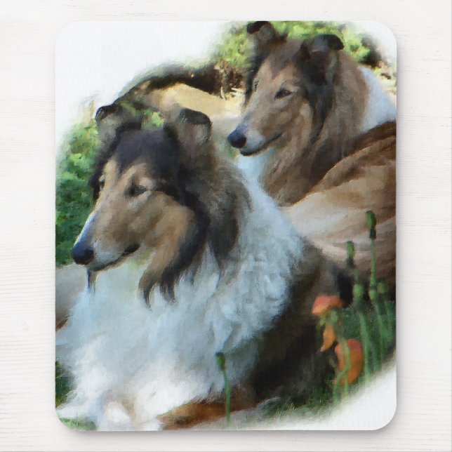 Collie Gift Musmatta (Framsidan)