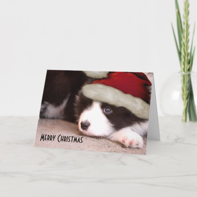 Collie god jul Baby-Gräns - Santa hat Helgkort (Framsida)