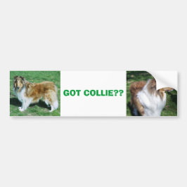 COLLIE, HAR COLLIE? BILDEKAL