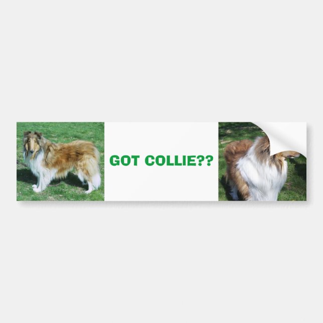 COLLIE, HAR COLLIE? BILDEKAL (Framsidan)