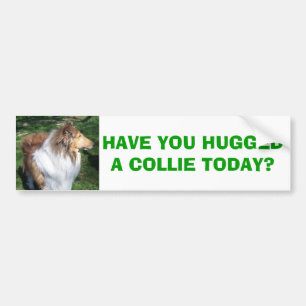COLLIE, HAR DU GJORT EN KOLLIE I DAG? BILDEKAL