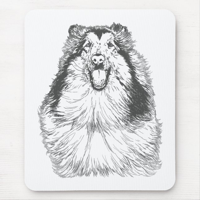 Collie Head Study Art Musmatta (Framsidan)