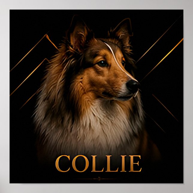Collie Heritage Shepherd Kollektion Poster (Framsidan)
