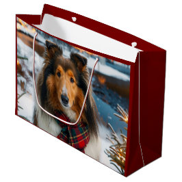 Collie Holiday