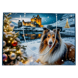 Collie Holiday