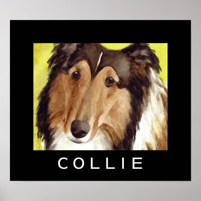 Collie Hund Affischer (Framsidan)
