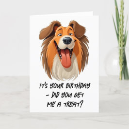 Collie Hund Birthday Card Tack Kort