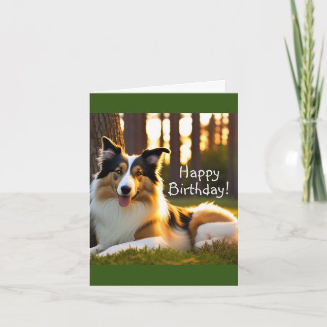 Collie Hund Birthday Kort (Framsida)