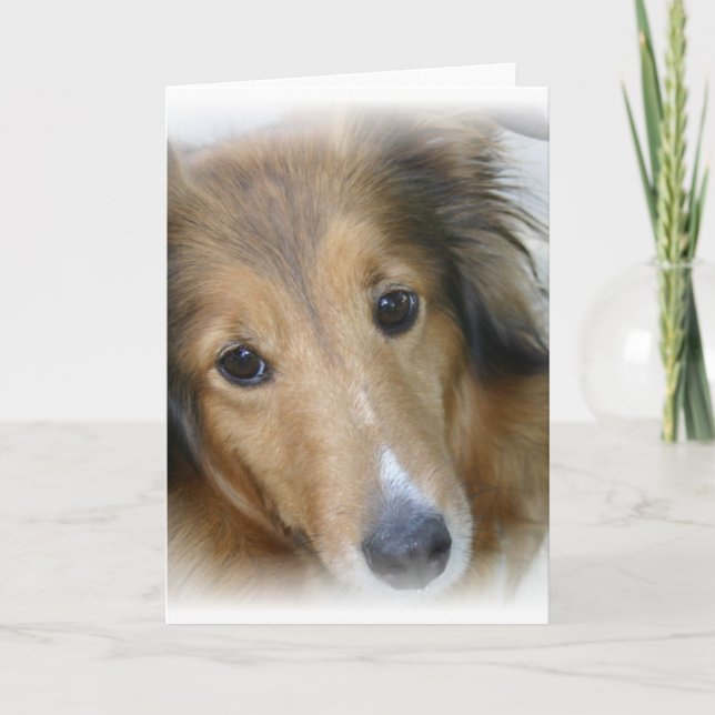 Collie Hund Greeting Card Kort (Framsida)