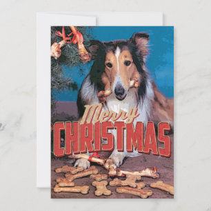 Collie Hund jul Inbjudningar