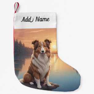 Collie Hund Liten Julstrumpa