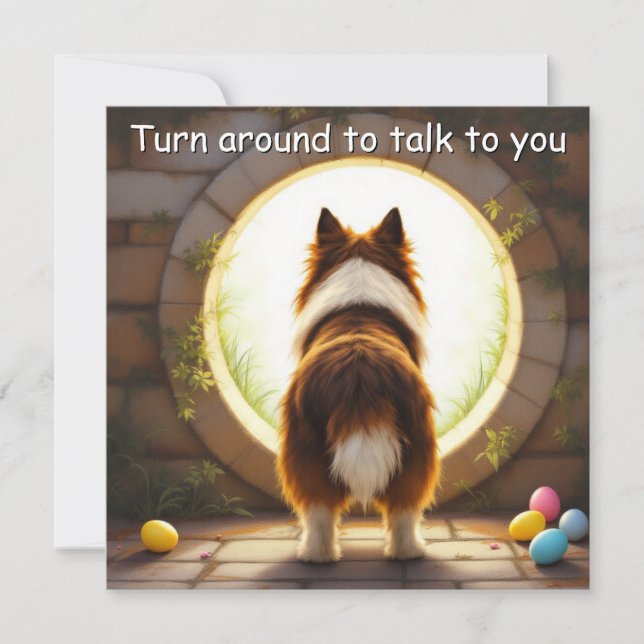 Collie hund - Påsk Julkort (Framsida)