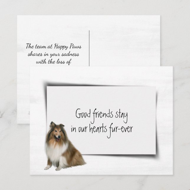 Collie Hund Sällskapsdjur Sympati Förlust Vykort (Fram/baksida)