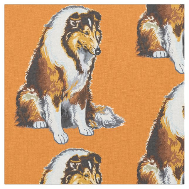 collie hund tyg (Närbild)
