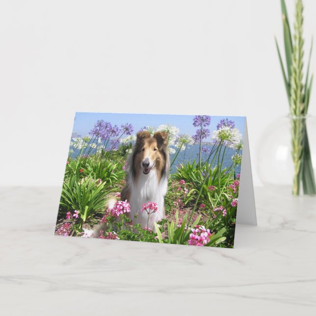 Collie i blommakort kort (Framsida)