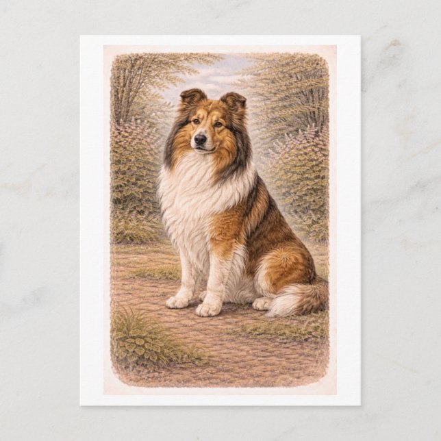 Collie i vintage-stil vykort (Framsida)