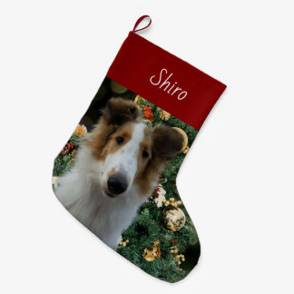 Collie Jul Stocking Stor Julstrumpa