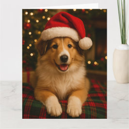 Collie julkort kort