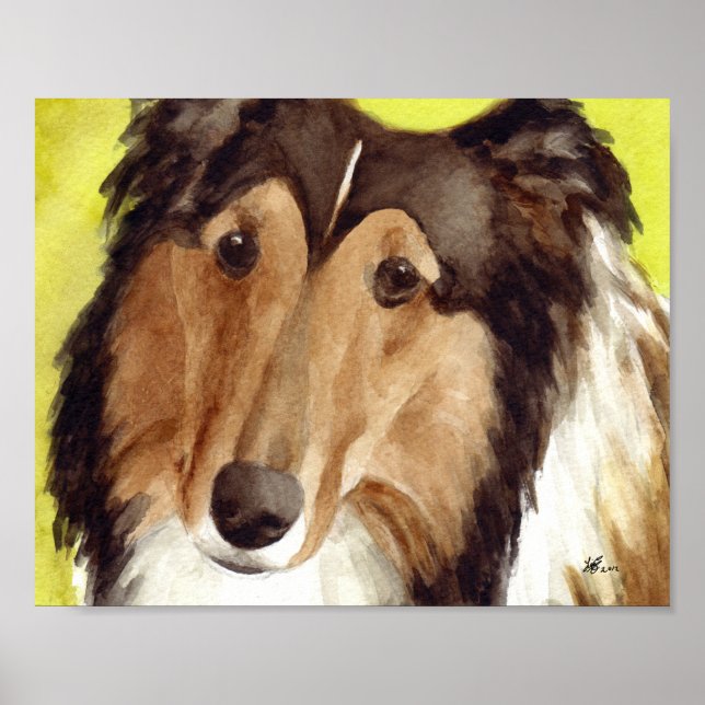 Collie konst poster (Framsidan)