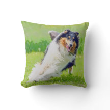 Collie