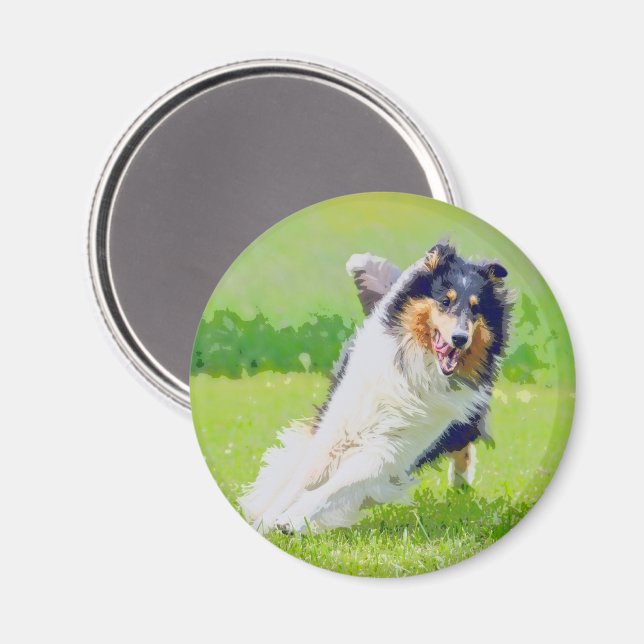 Collie Magnet (Front/Back)