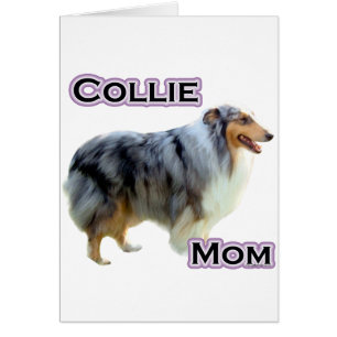 Collie Mamma 4 Hälsningskort