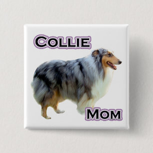 Collie Mamma 4 - Knapp