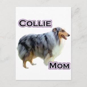 Collie Mamma 4 Vykort